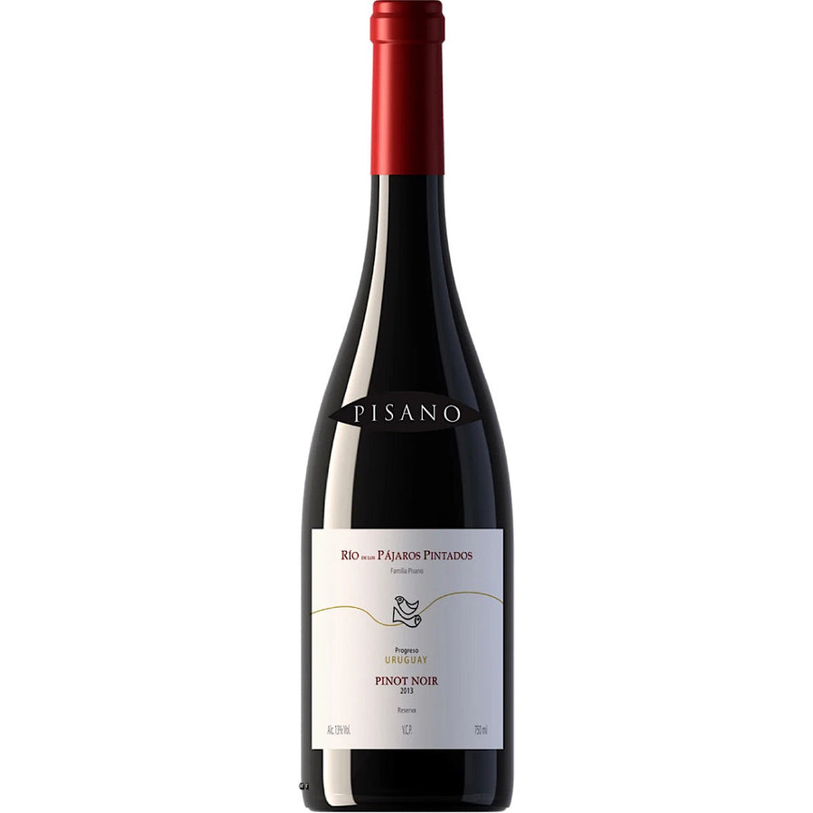 Pisano Rio de Los Pajaros Pinot Noir 12 Bottle Case 75cl